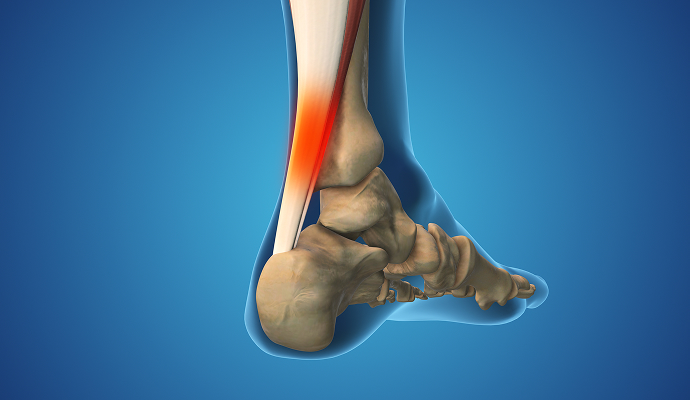 발/발목 이미지