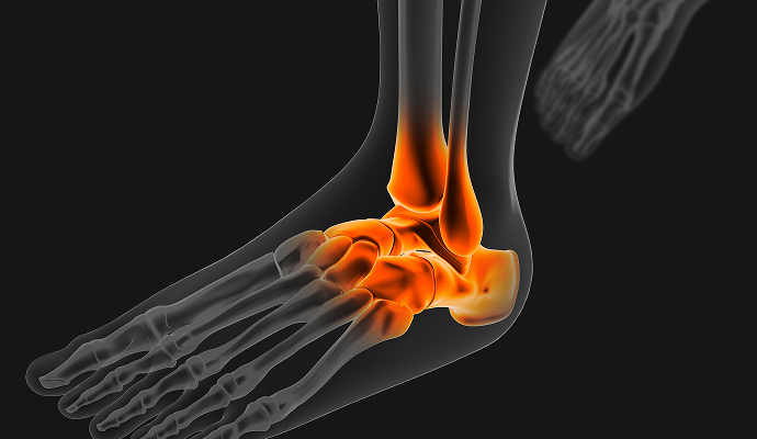 발/발목 이미지